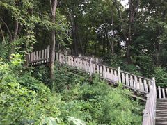 -帽儿山国家森林公园