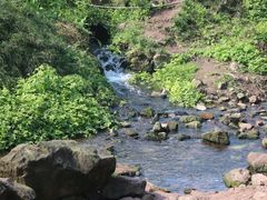 -重庆彩云湖湿地公园