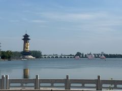 -溱湖国家湿地公园