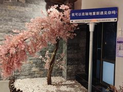 -秘地·影院式足浴SPA(凤三旗舰店)
