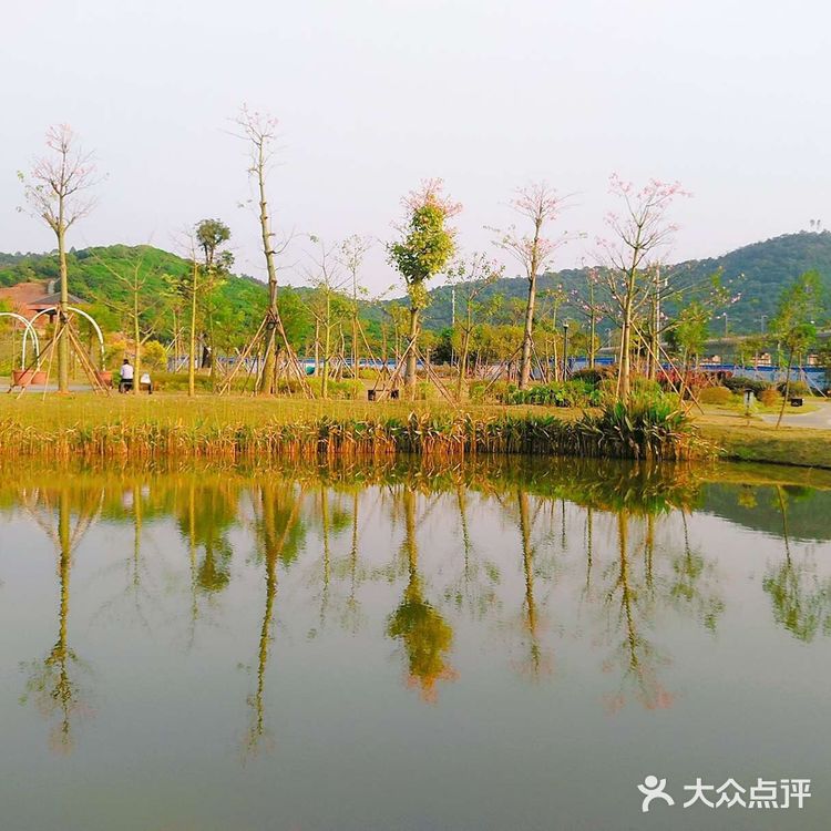 攻略 | 深圳罗田森林公园