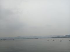 -西湖游船