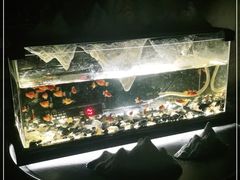 -C&R西班牙餐厅