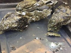 -蚝专家(北滘店)