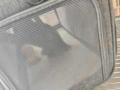 -玖佳宠物医院·泌尿·骨科·中老年病