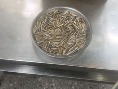 -郝大姐·乌龙山铁板烧(大学城三店)