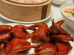 -新雅粤菜馆(南京东路店)