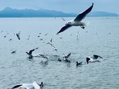 -深圳湾公园(南山区)