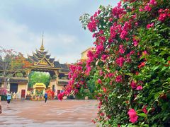 -曼听御花园