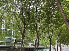 -美联众合动物医院·24h转诊中心