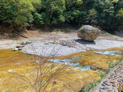 -光雾山旅游景区
