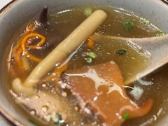 -菌子鲜汤野生菌锅