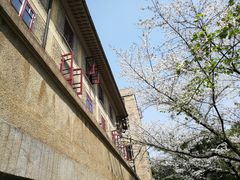 -武汉大学-樱园