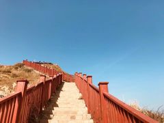 -枸杞岛