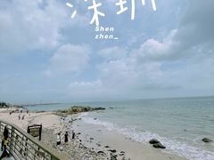 -杨梅坑