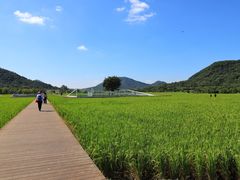 -艾米稻香小镇