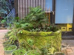 -先机泉水鸡汤(南山老君洞店)