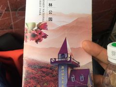 -广州市石门国家森林公园