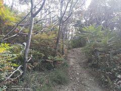 -棋盘山风景区