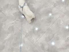 -贝康宠物医院·犬猫全科·小动物特色诊疗中心(东环路店)