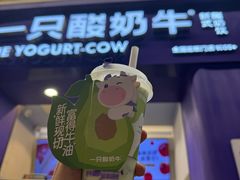 -一只酸奶牛(八一路店)