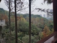-重庆彩云湖湿地公园