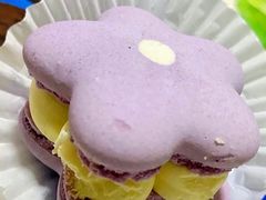 花花半熟马卡龙柚子樱花口味-好利来(东直门银座店)