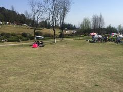 -铁山坪森林公园