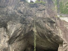 -鲁镇