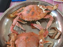 -四海蒸鲜蒸汽海鲜自助(北戴河店)
