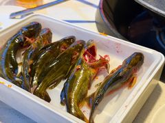 -川西坝子火锅(金沙1.0直营店)