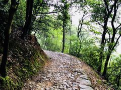 -西湖风景区十里琅珰-五云山