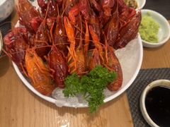 -菊上日式料理(蚌埠银泰店)