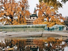 -北京石刻艺术博物馆(五塔寺)