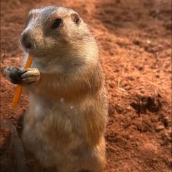 -Zoolung Zoolung动物主题公园(海信广场店)