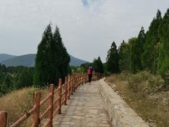 -龙洞风景区-藏龙涧