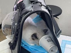 -联合动物医院(光谷诊疗中心)