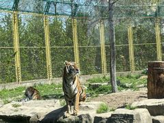 -上海野生动物园