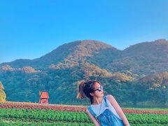 -广州市石门国家森林公园
