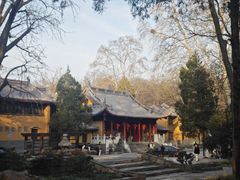 -灵谷景区