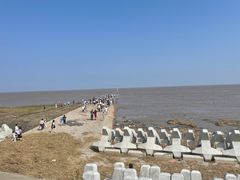 -南汇嘴观海公园