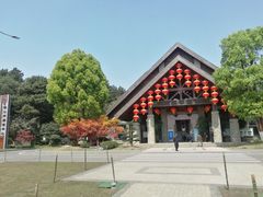 -铁山坪森林公园