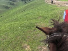 -陕西省红河谷森林公园