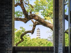 -江心屿景区