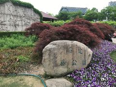 -嘉定紫藤园