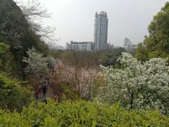 -百林公园-两江幸福广场