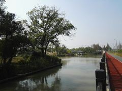 -上海长兴岛郊野公园