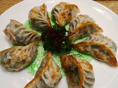 -郑州银基黄帝宫御温泉