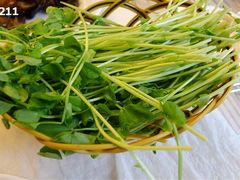 豆苗-东来顺饭庄(王府井步行街店)