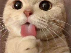-荣公子创意菜